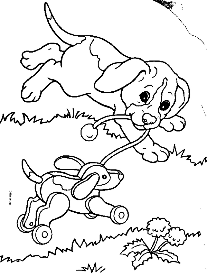Animals Colouring Pictures 8