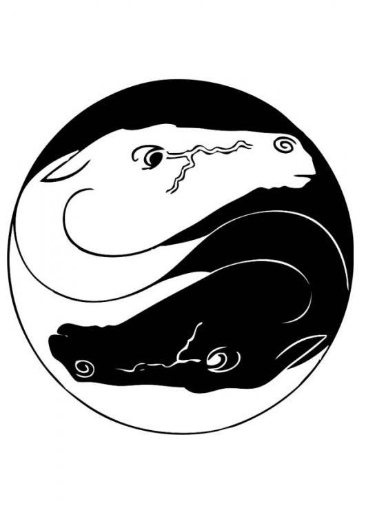 yin yang yo coloring pages - photo #11